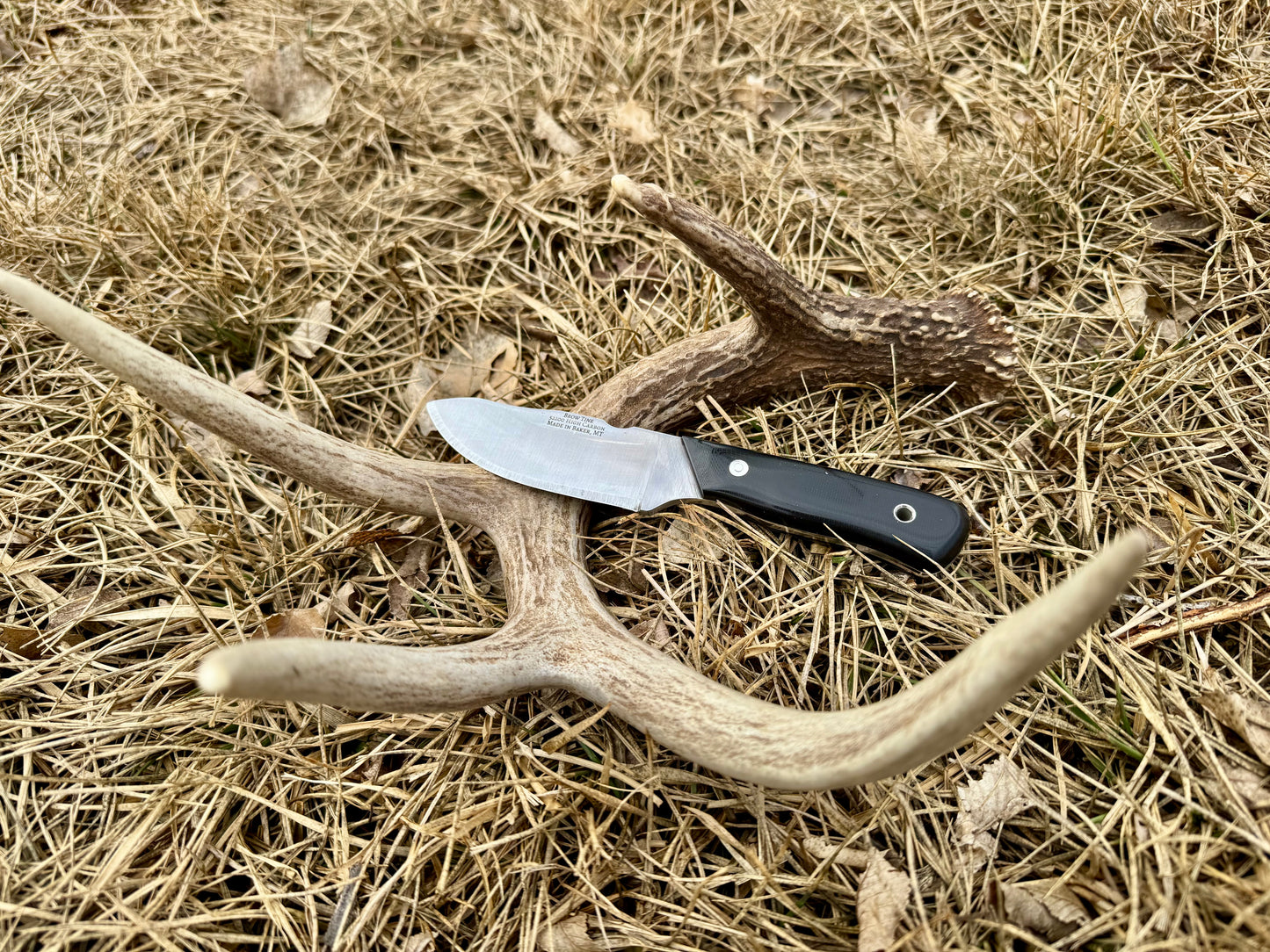 Brow Tine Knife