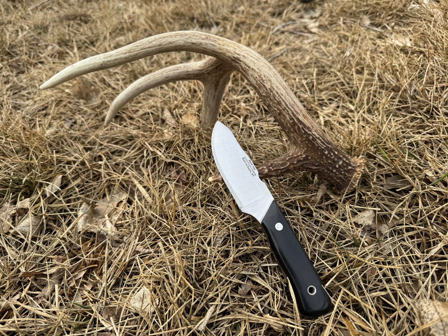 Brow Tine Knife